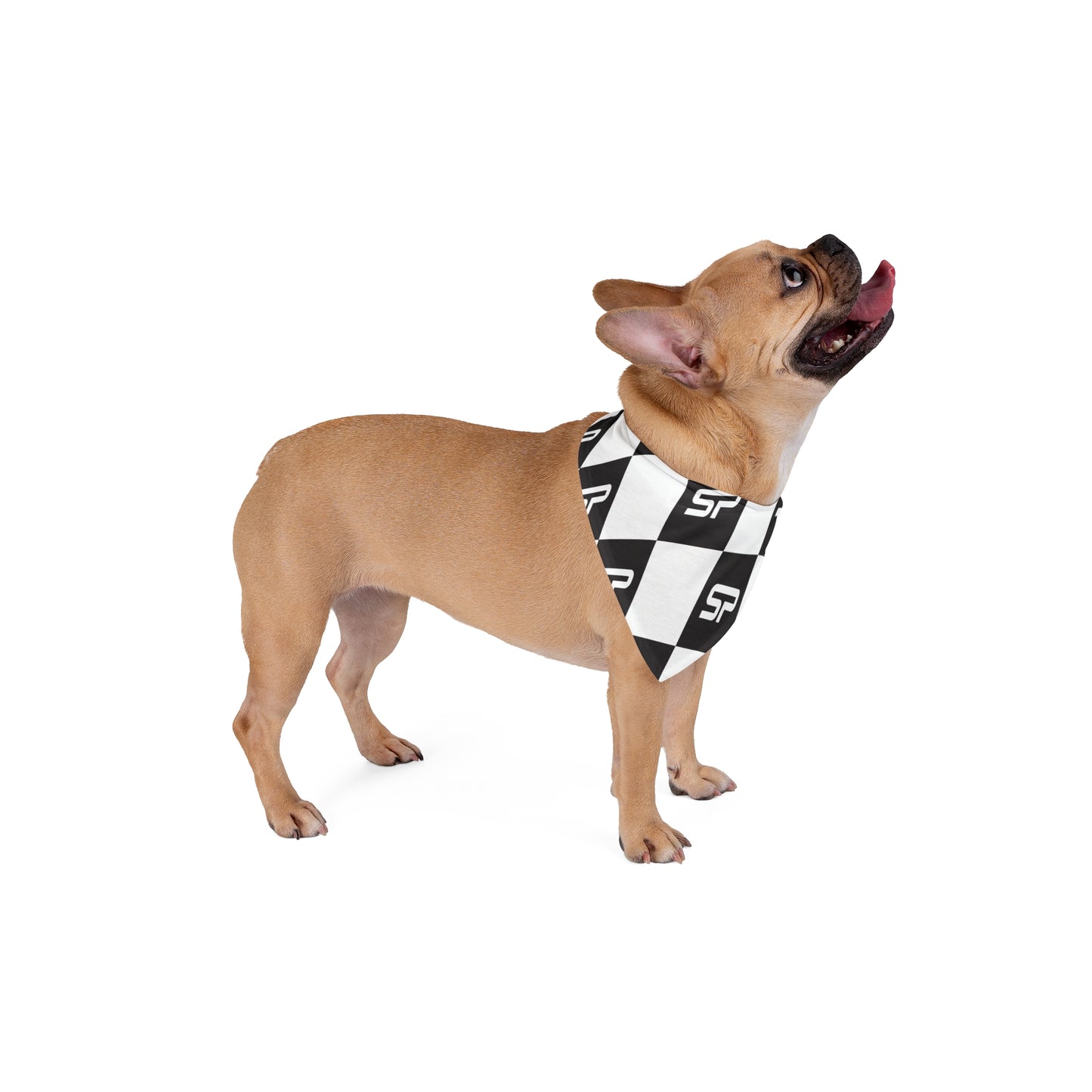 SP Checkered Pet Bandana